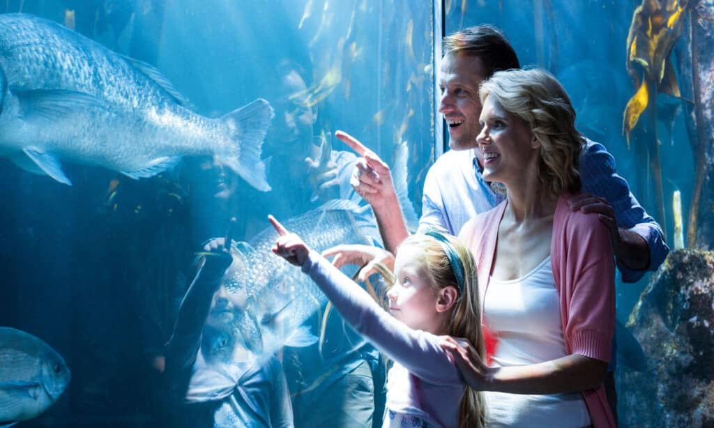 Happy Family in Aquarium