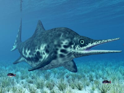 A The Largest Sea Dinosaur In History