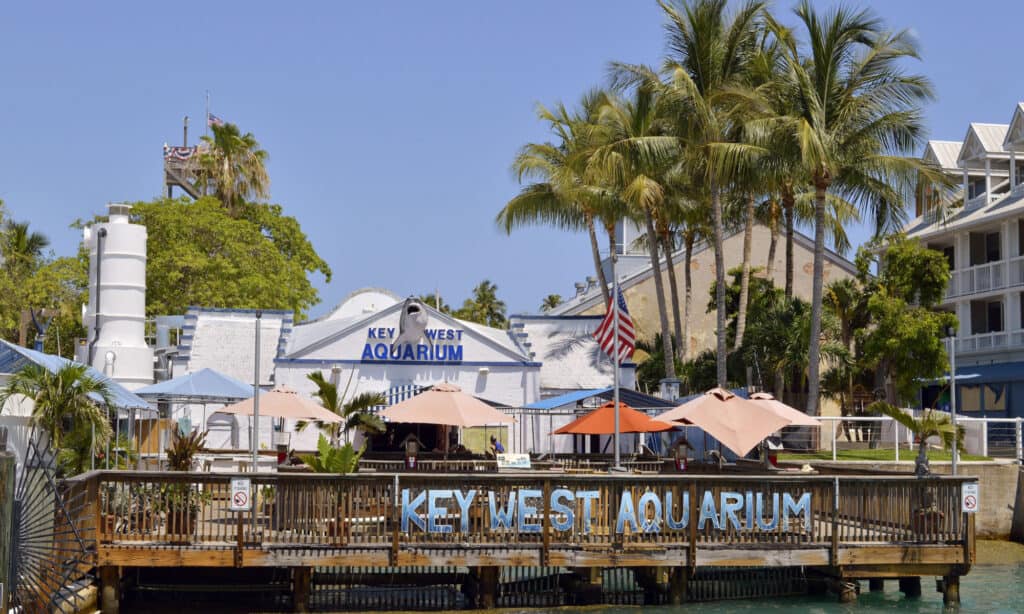 Key West Aquarium Florida 