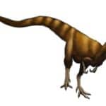 Sinosauropteryx