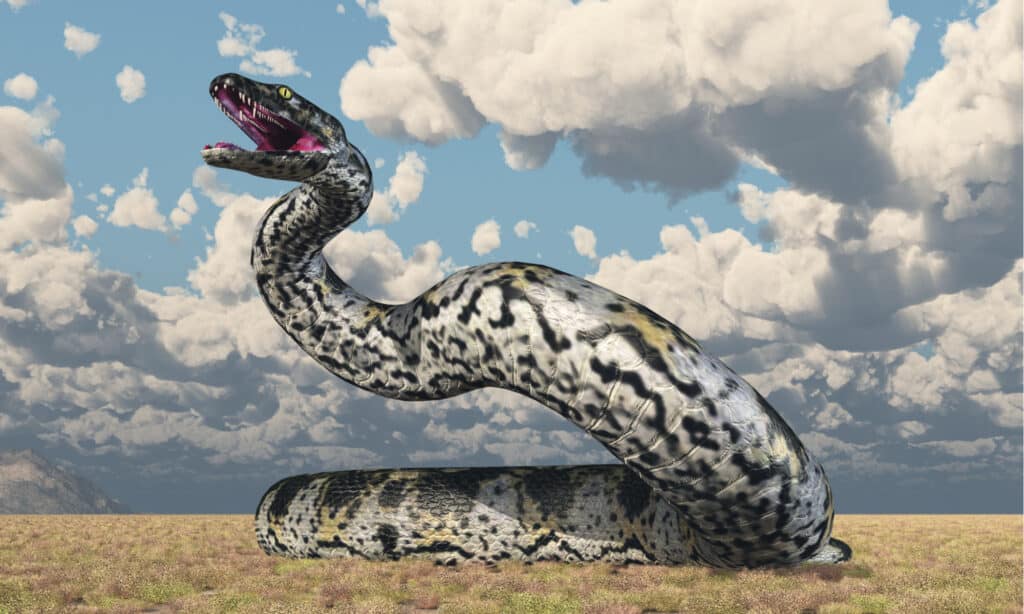 Titanoboa on grassland