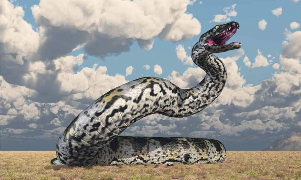 Titanoboa on grassland