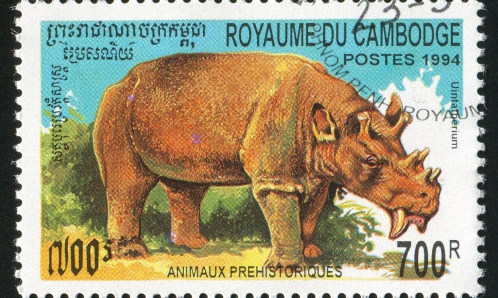 A stamp printed by Cambodia, shows Prehistoric Animals. Uintatherium was an herbivore and seemed to have specialized in aquatic plants.