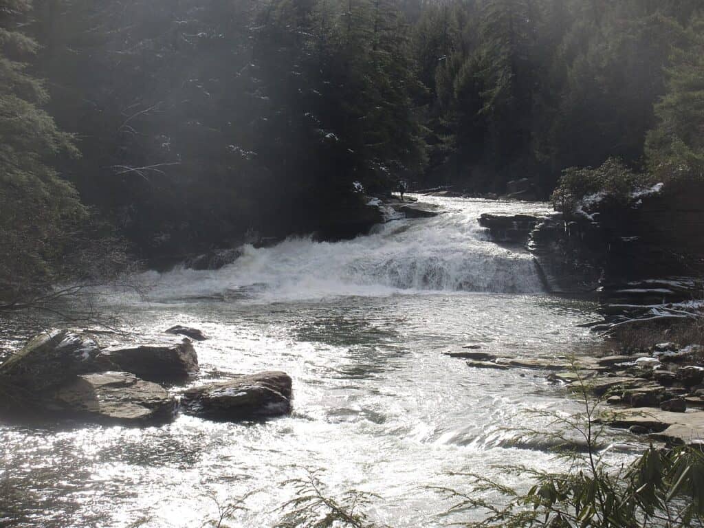 Swallow Falls