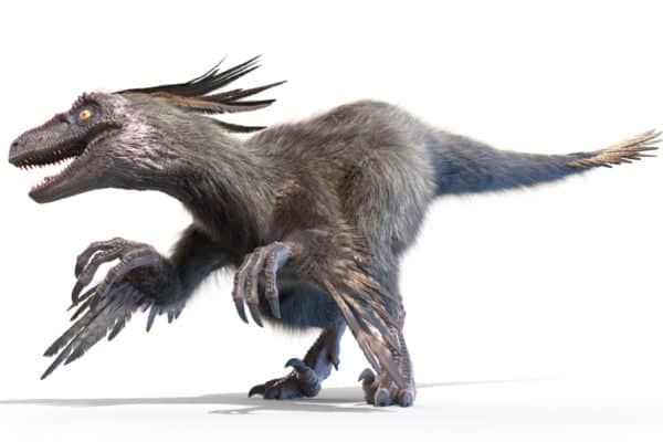 In the 1993 movie Jurrasic Park Velociraptors have no feathers, as their feathers were only discovered in 2007.