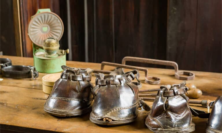 Vintage hoof boots on an old desk
