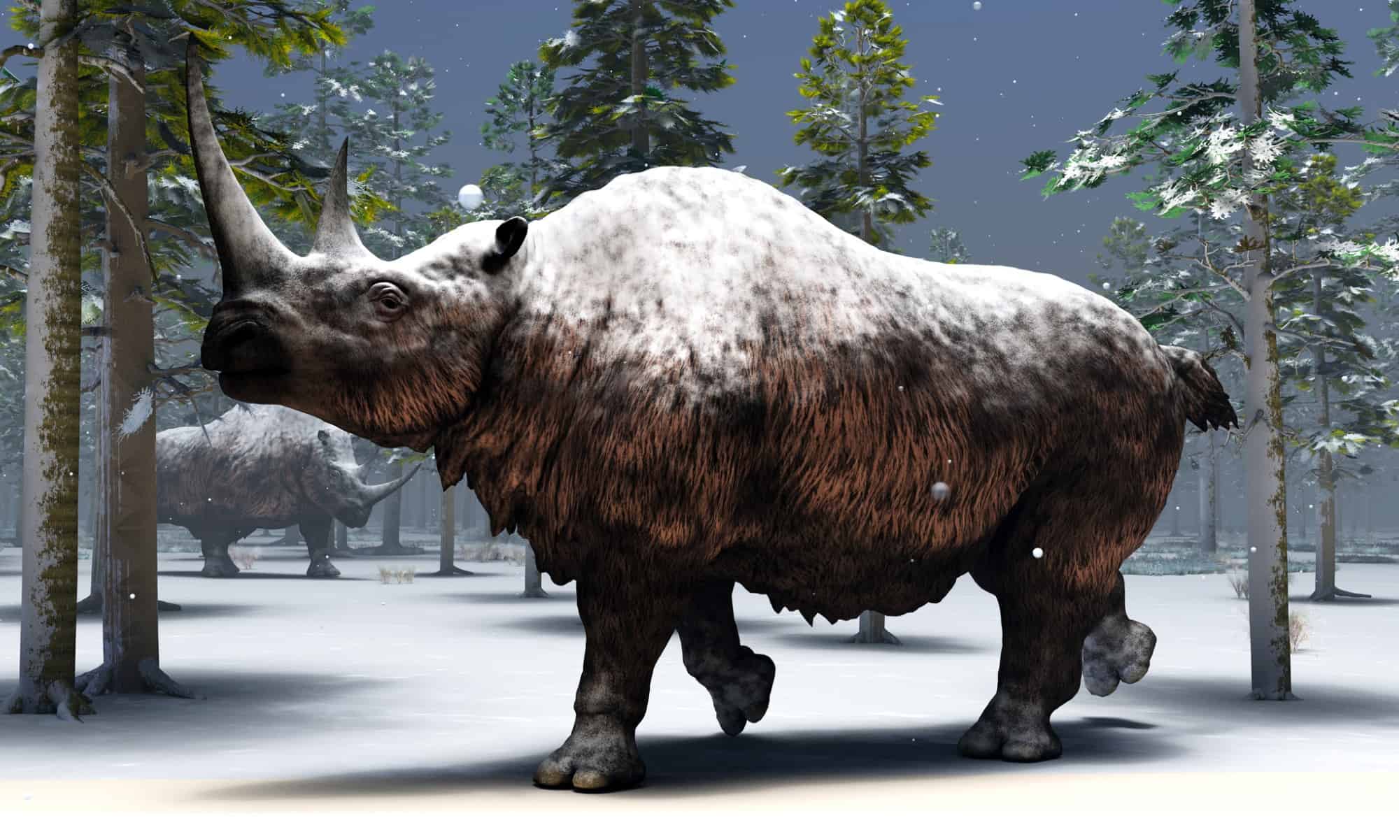 Discover the 6,000lb Woolly Rhinoceros With a Deadly 5ft Horn - W3schools