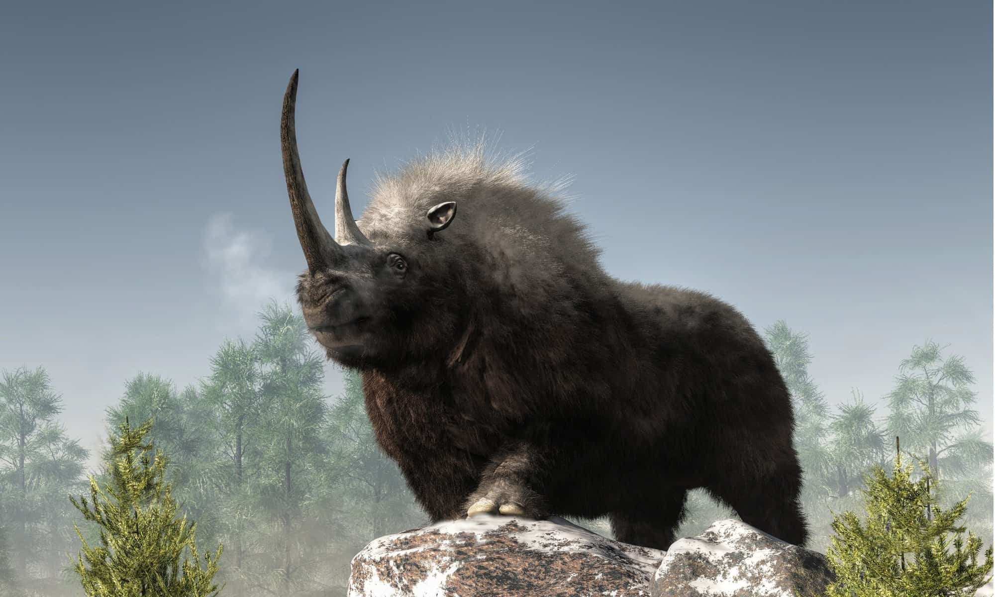 Discover the 6,000lb Woolly Rhinoceros With a Deadly 5ft Horn - AZ Animals