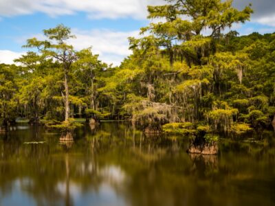 A How Deep Is Caddo Lake in Texas?