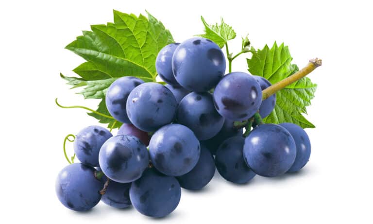 A bunch of purple grates with leaves on white background