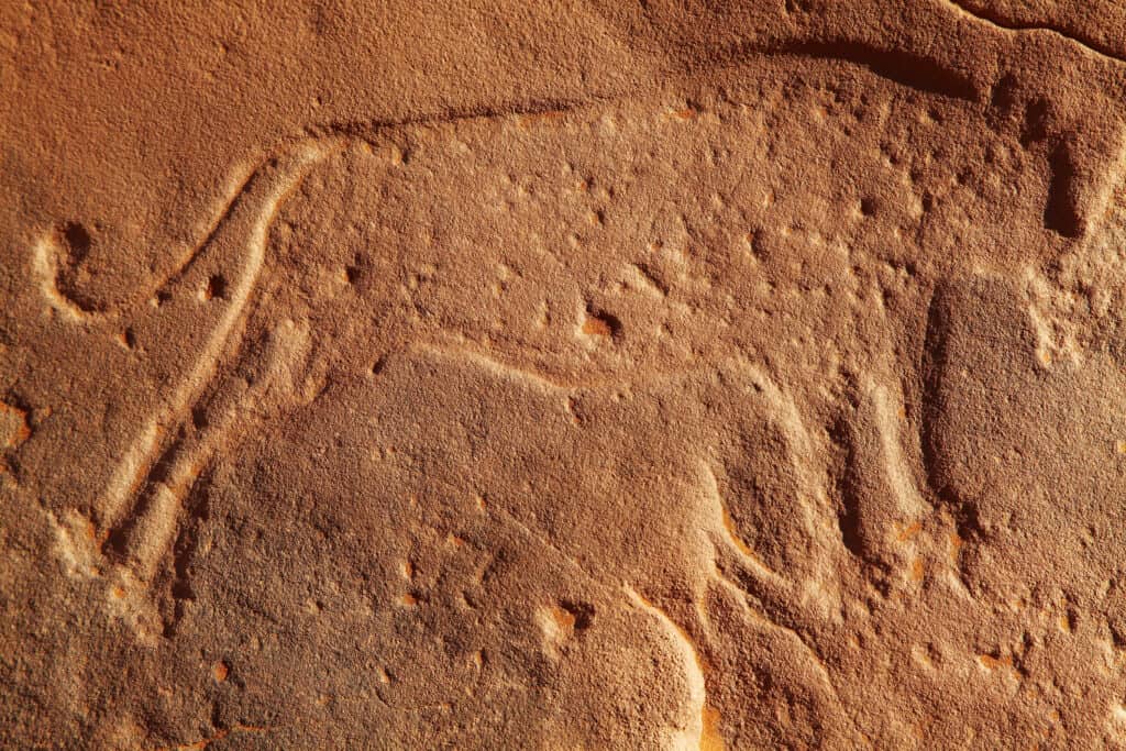 Prehistoric Cave Painting of Animal