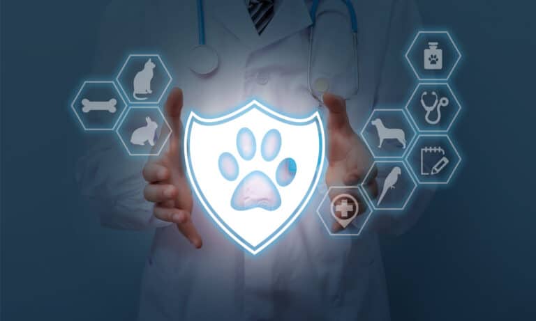 Pet insurance concept illustration