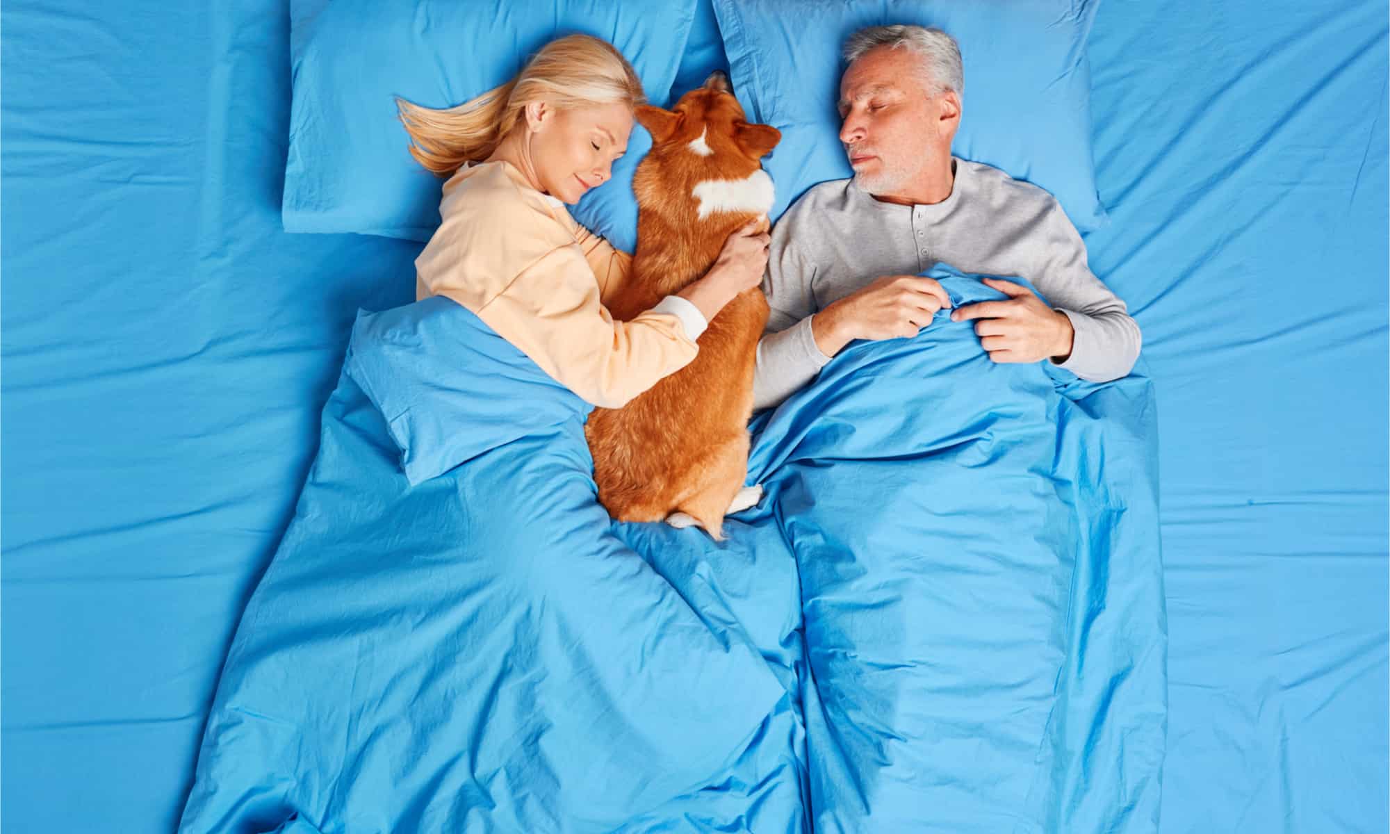 couple sharing their bed with their corgi
