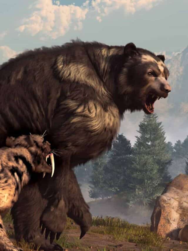 A saber-toothed cat tries to drive a short-faced bear out of its territory.