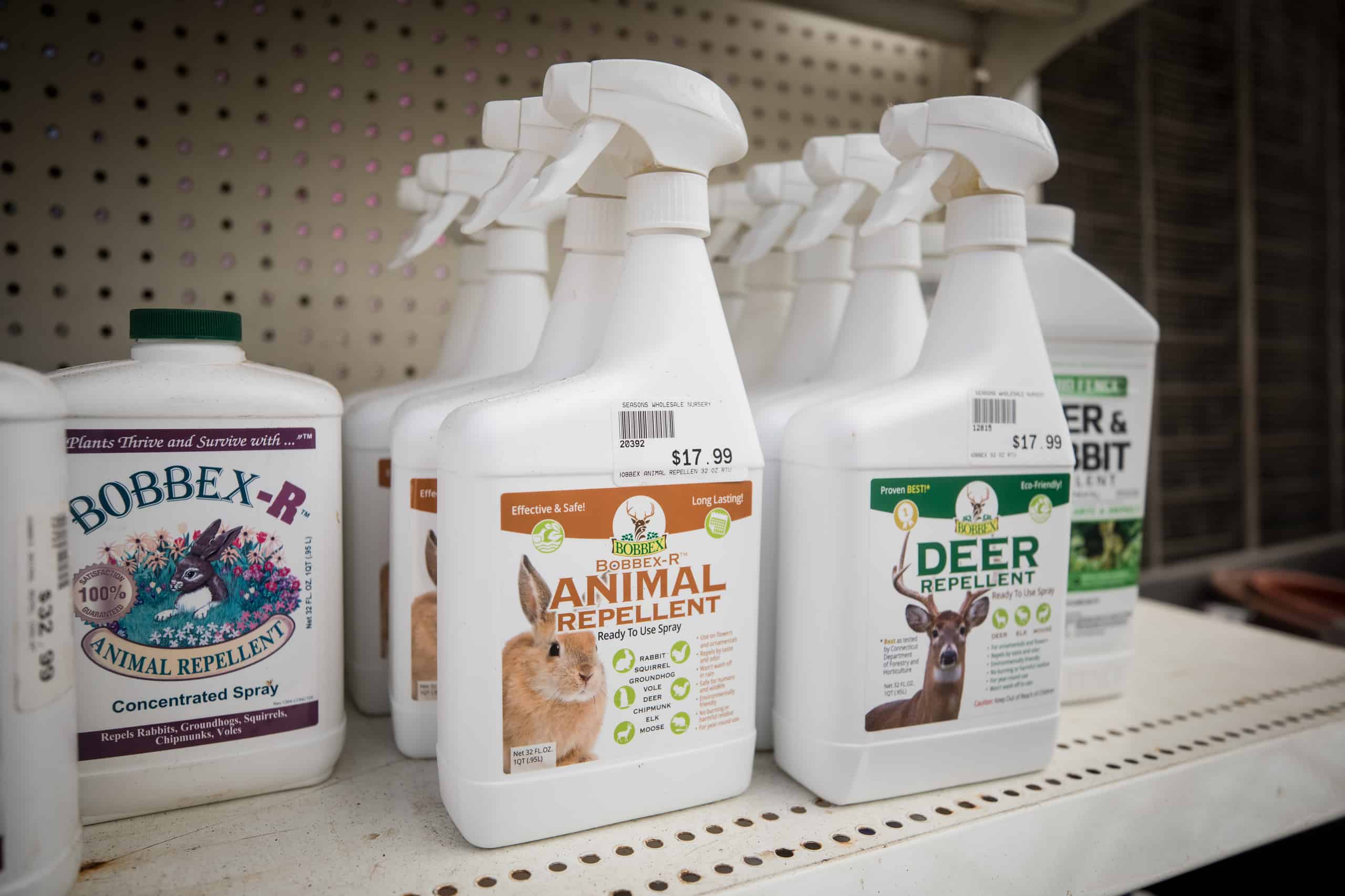 The 4 Best Deer Repellents: Reviewed and Ranked - AZ Animals