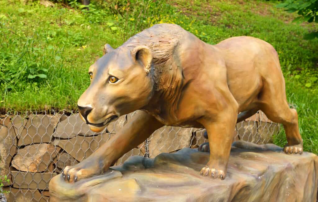 eurasian cave lion