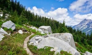 Discover the 6 Highest Peaks Along the Pacific Crest Trail Picture
