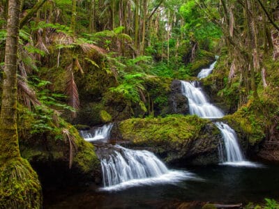 A Discover The 10 Must-See Waterfalls in Hawaii (With Photos)