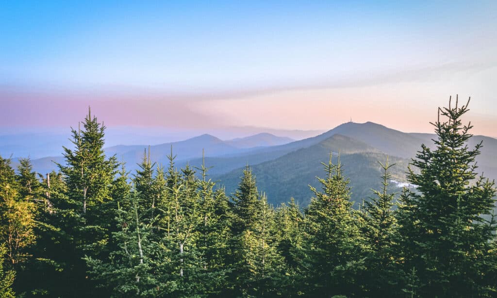 Mount Mitchell is the highest peak in the Appalachian Mountains.