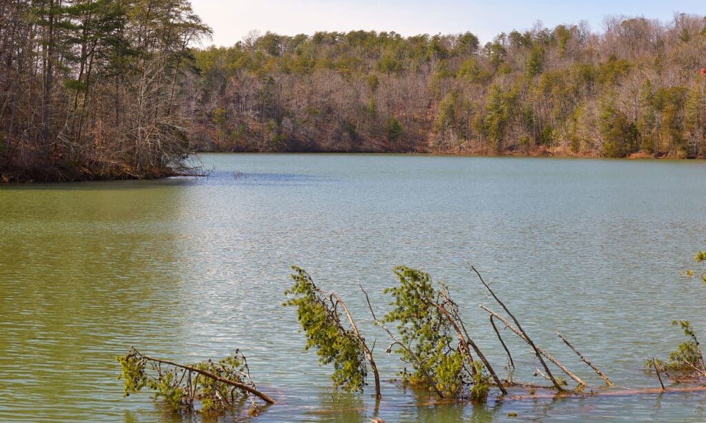 The 10 Biggest Lakes In Virginia A Z Animals   IStock 1138387673 1024x614 