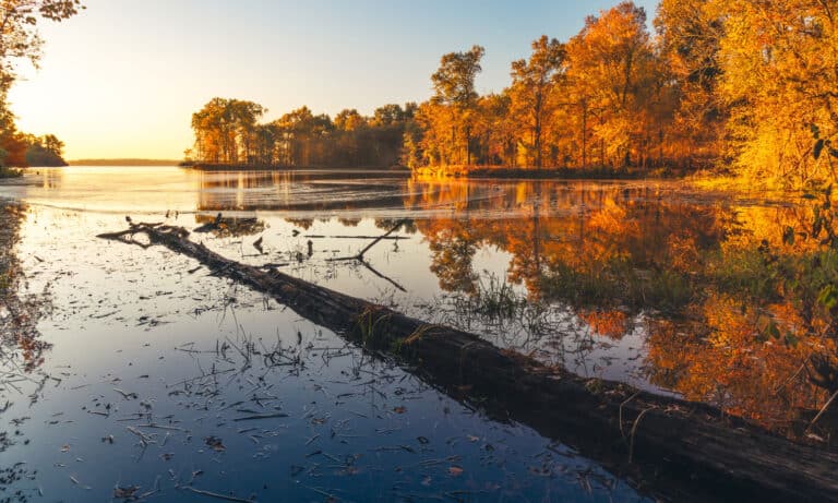 Crab Orchard Lake Illinois