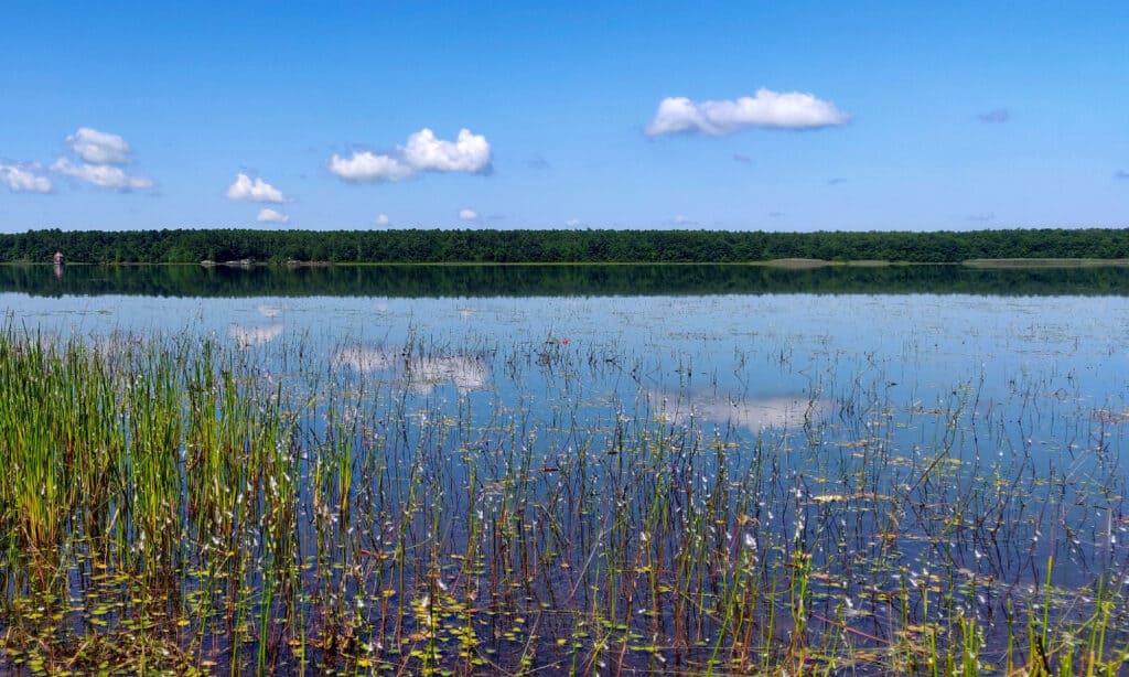 Assawompset Pond Massachusetts