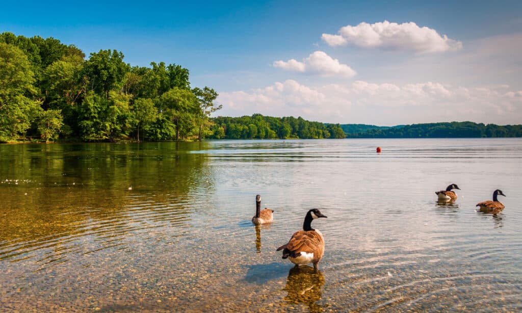 Loch Raven Reservoir Maryland