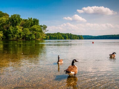 A The 10 Best Fishing Spots in Maryland This Summer