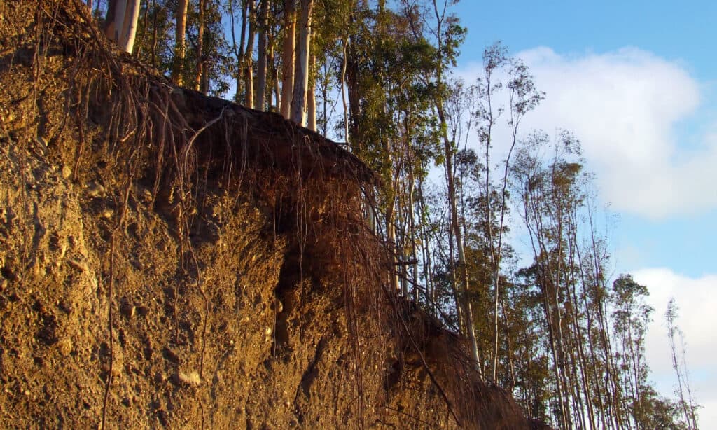 Andalusia, Granada - Spain, Spain, Landslide, Dirt