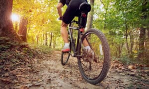 The Longest Biking Trail in Tennessee Picture
