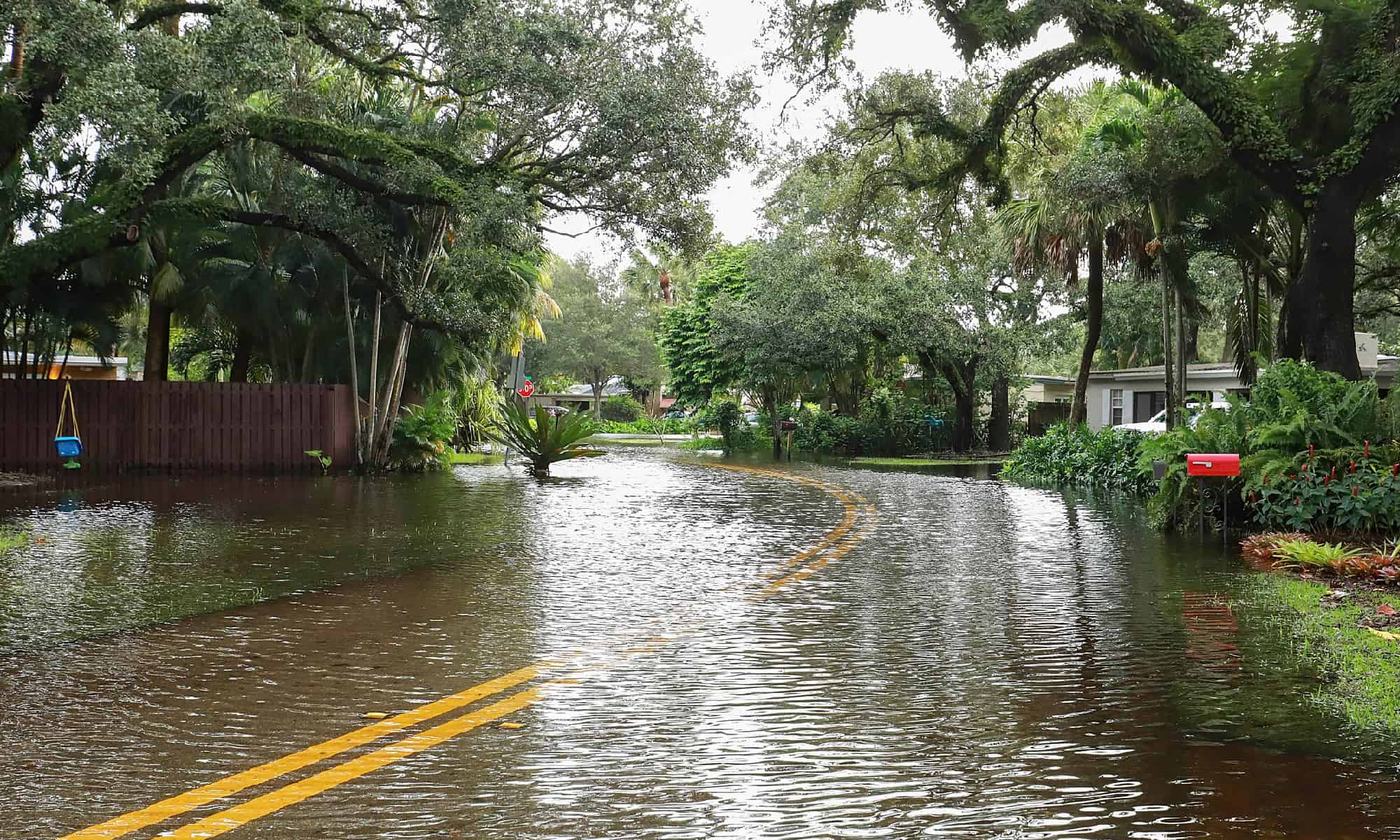 Florida - US State, USA, Fort Lauderdale, Flood, Road