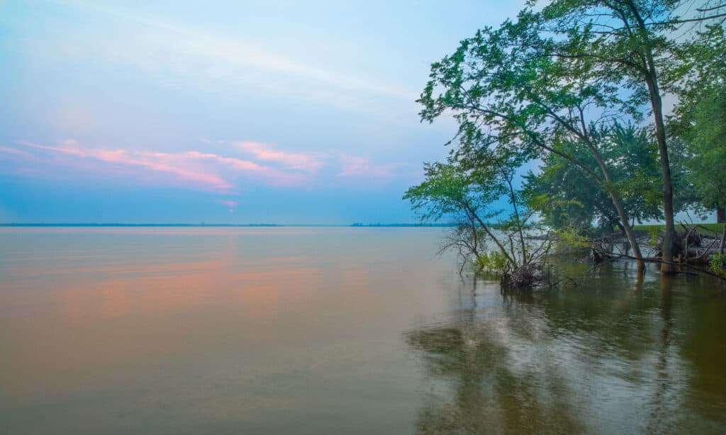 Rend Lake Illinois