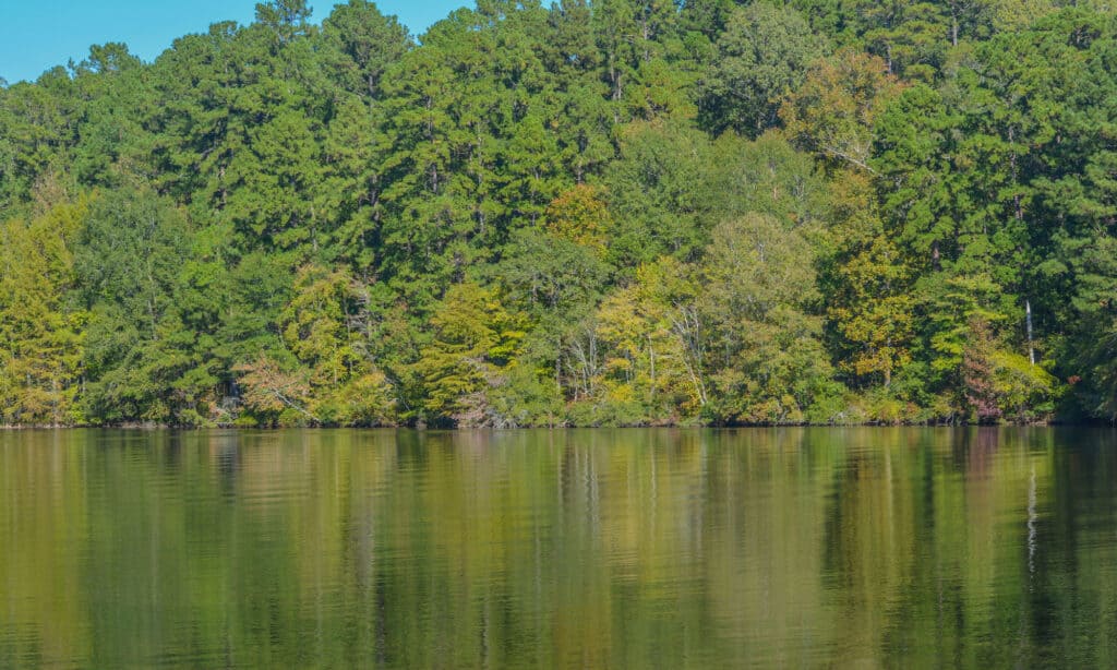 Lake Claiborne Louisiana