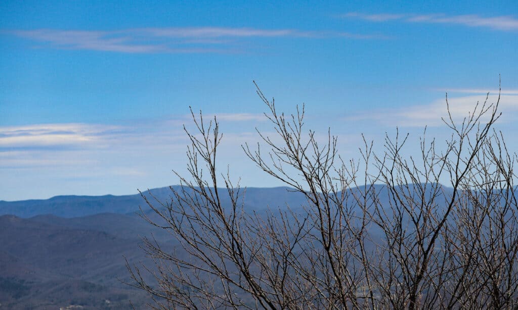 Brasstown Bald Mountain Georgia