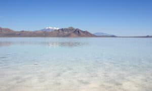 How Salty Is the Great Salt Lake, Really? Picture