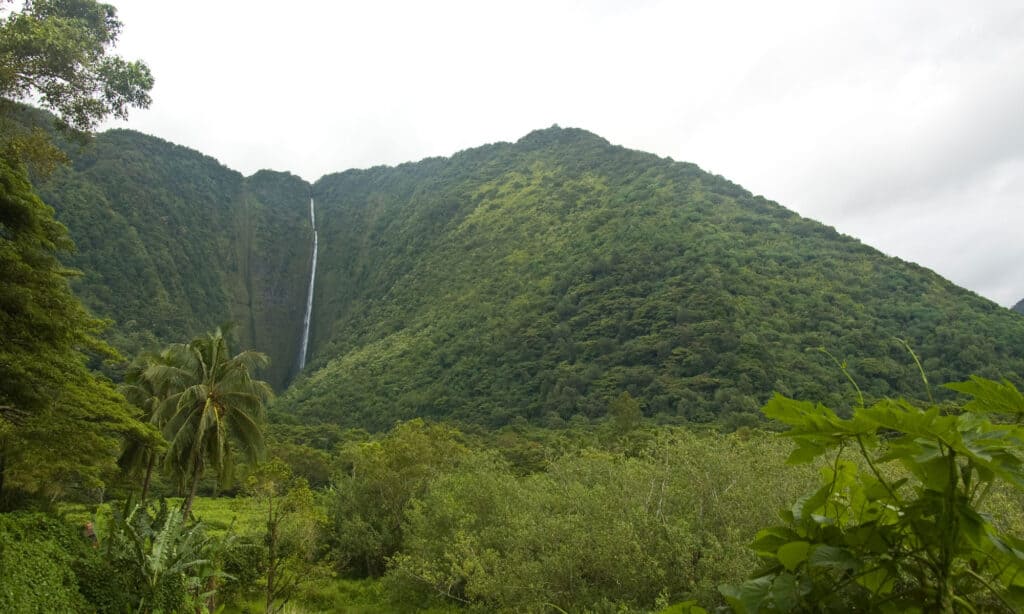 Hi’ilawe Falls Hawaii