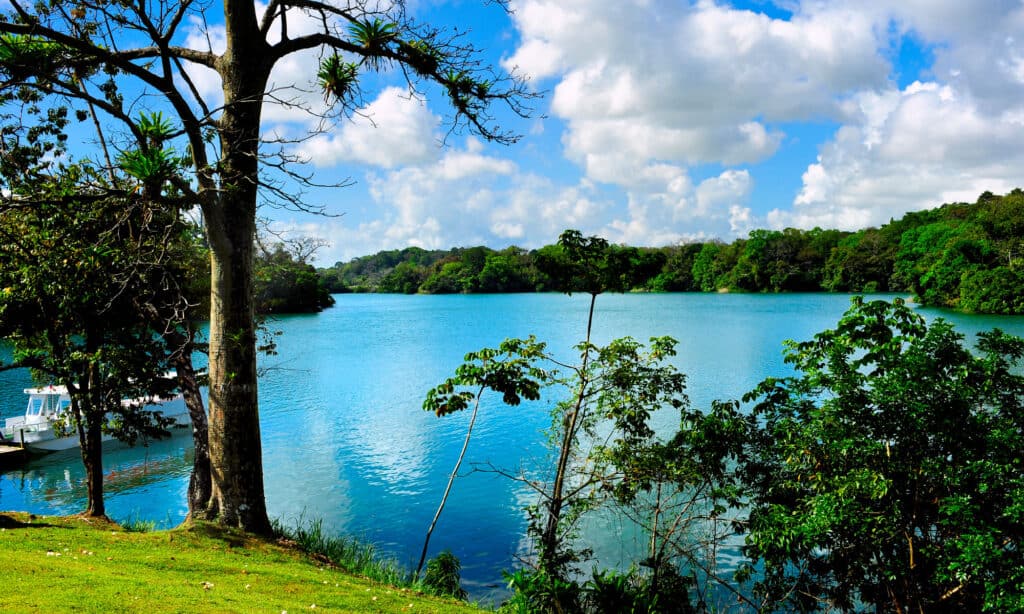 Gatun Lake, Panama