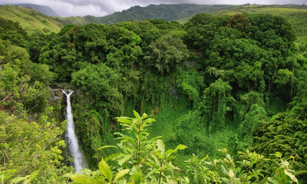 Makahiku falls view in Waimoku falls trail, Maui island, Hawaii