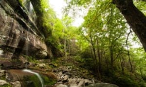 Discover the 5 Most Dangerous Places in Tennessee Picture