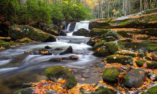 The 10 Most Picture-Perfect Waterfalls in the Smoky Mountains (& Where ...