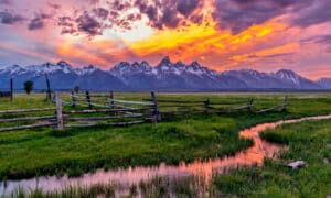 Wyoming’s 6 Best Bird Watching Spots This Summer Picture