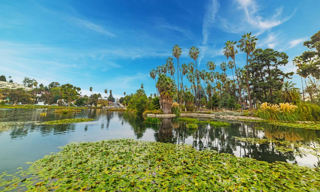 Echo park in Los Angeles, California