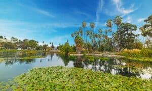 The 8 Best Lakes Around Los Angeles California! Picture