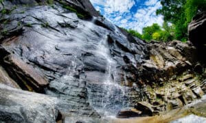 The Top 8 Biggest State Parks in North Carolina photo