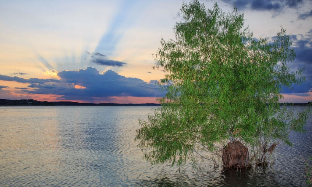 Canyon Lake Texas