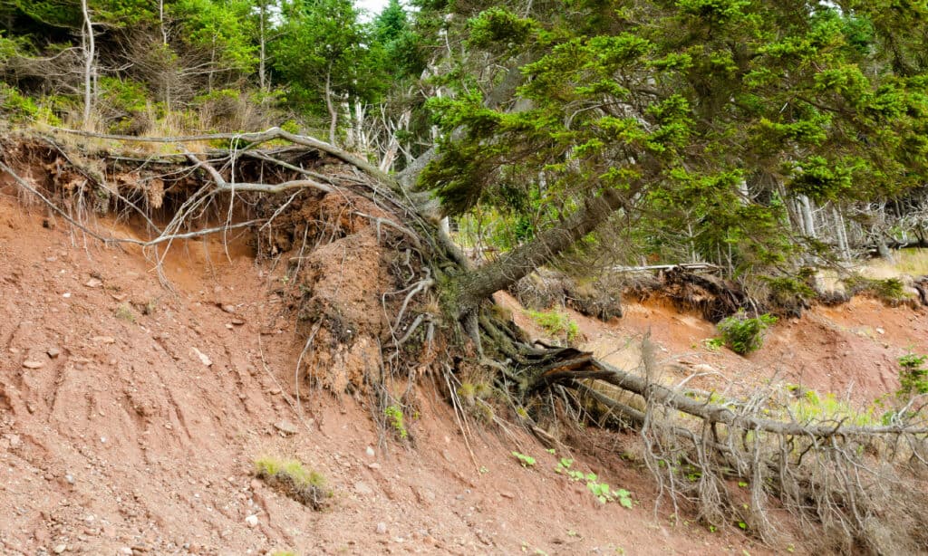 Terrain Landslide