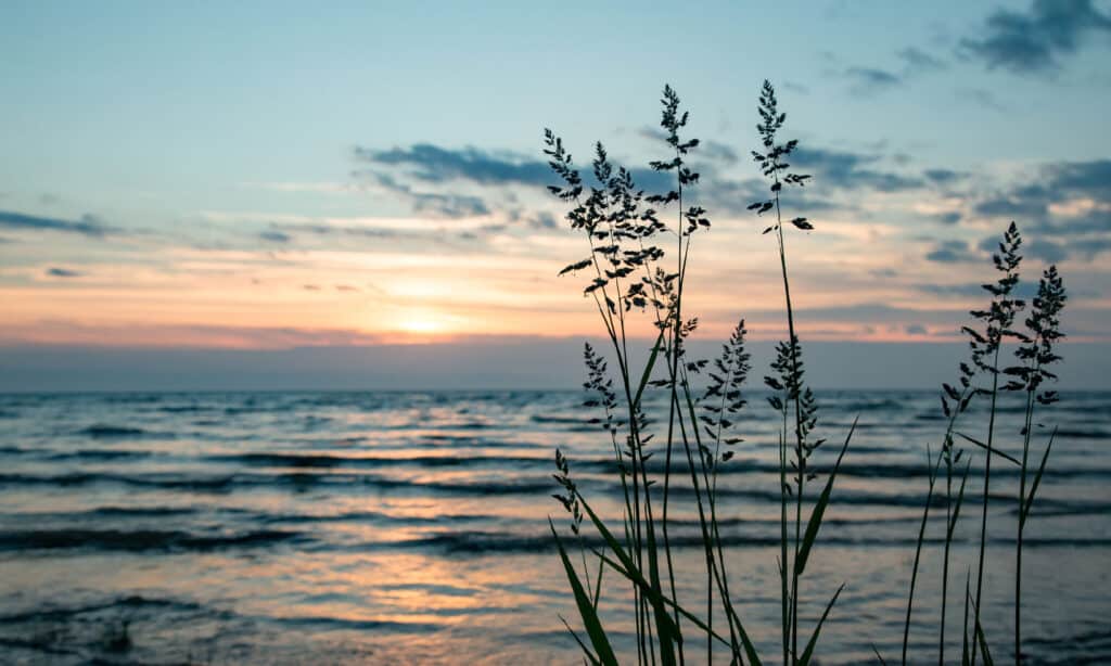 Lake Peipus in Estonia