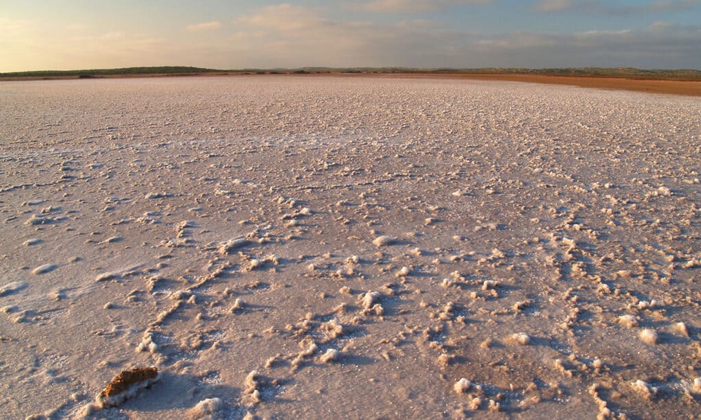 The Great Australian Desert