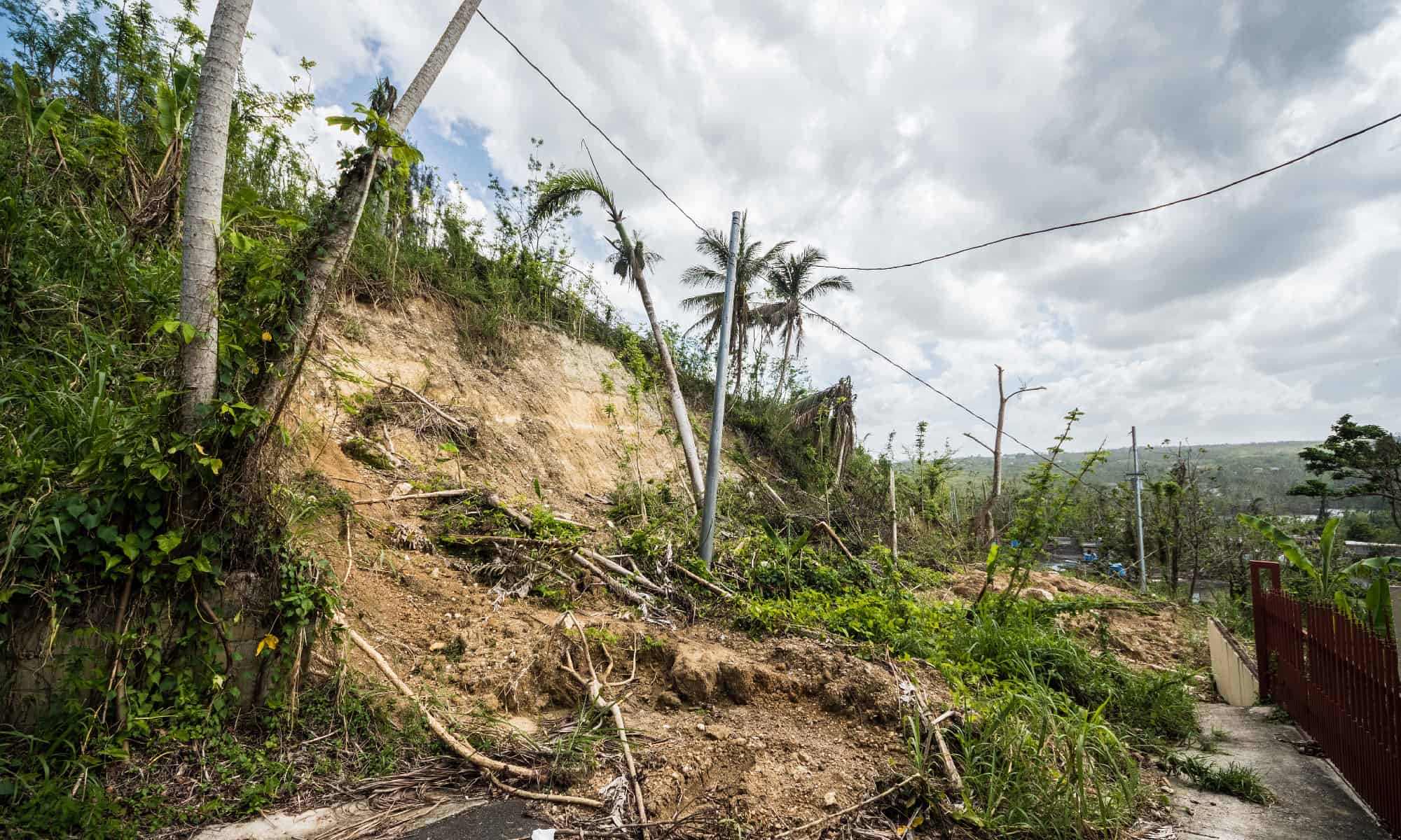 what-is-a-mudslide-and-how-are-they-caused-az-animals