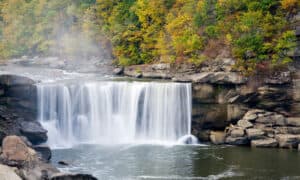 Discover The 10 Most Impressive Waterfalls in Kentucky Picture